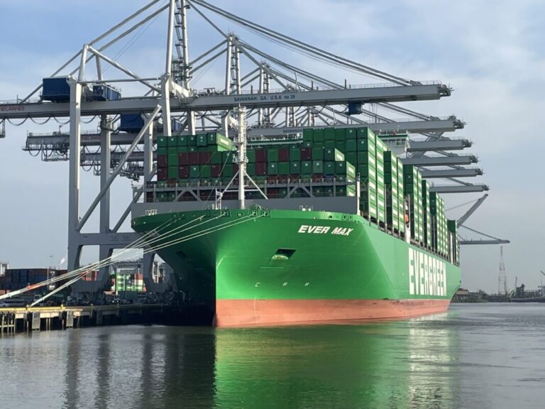 Georgia Ports container volumes increased by 17 per cent in June