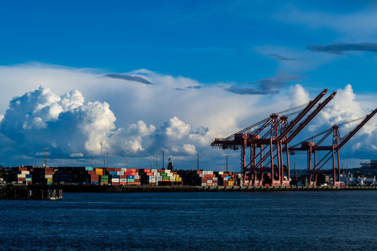 NWSA container throughput rises in August