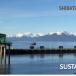 ShibataFenderTeam, Ramboll collaborate on carbon footprint tool