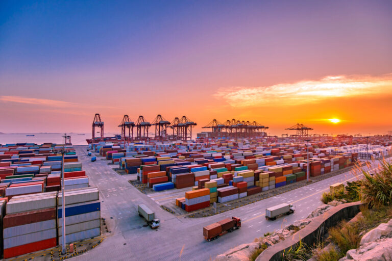 China ports container volume rises in 2023