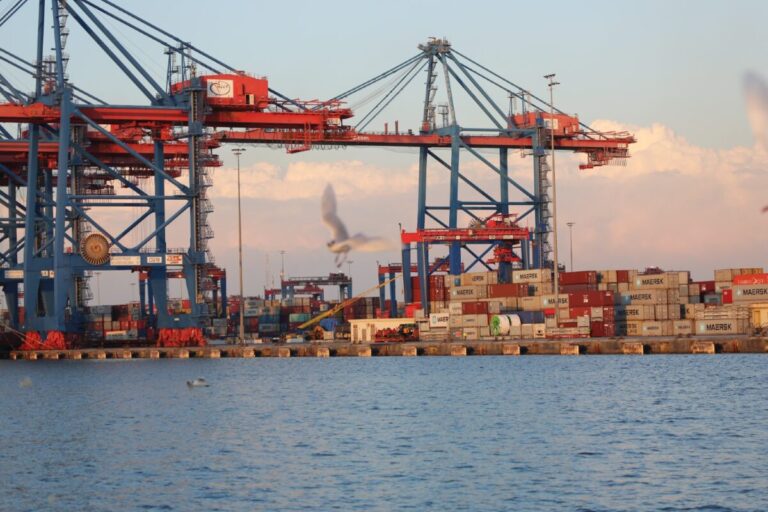 AD Ports carries out environmental assessment at Safaga Port