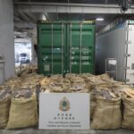 Hong Kong Customs seizes suspected dried shark fins