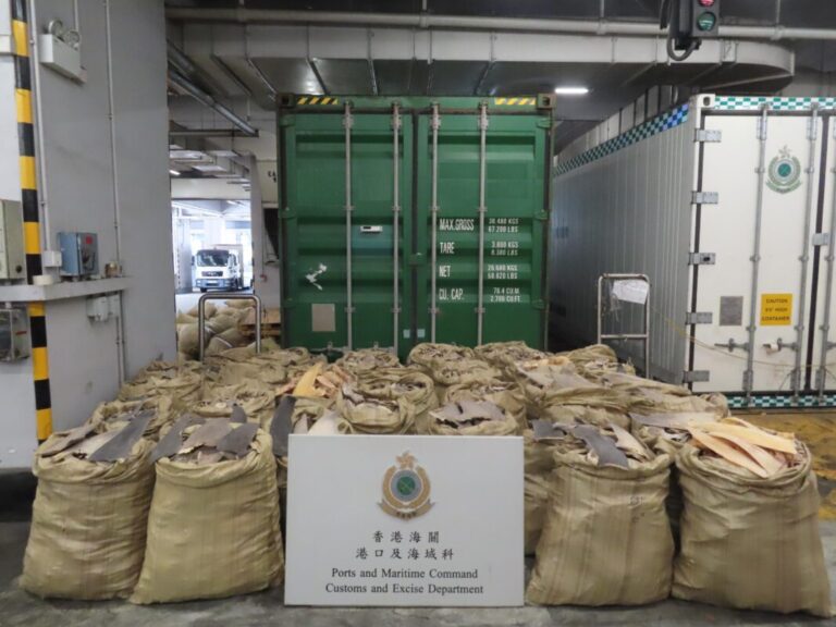 Hong Kong Customs seizes suspected dried shark fins