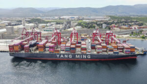YILPORT Gemlik serves Yang Ming's 14,000 TEU vessel