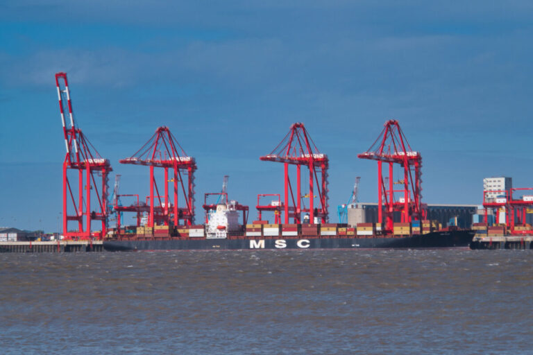 MSC confirmed as leading investor in Hutchison ports deal