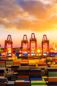 Shifting the Digital Tide - Sample Edition