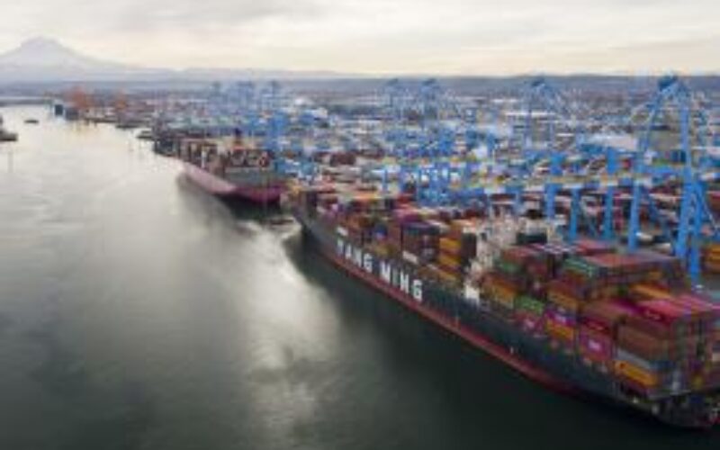 NWSA container throughput increases in March