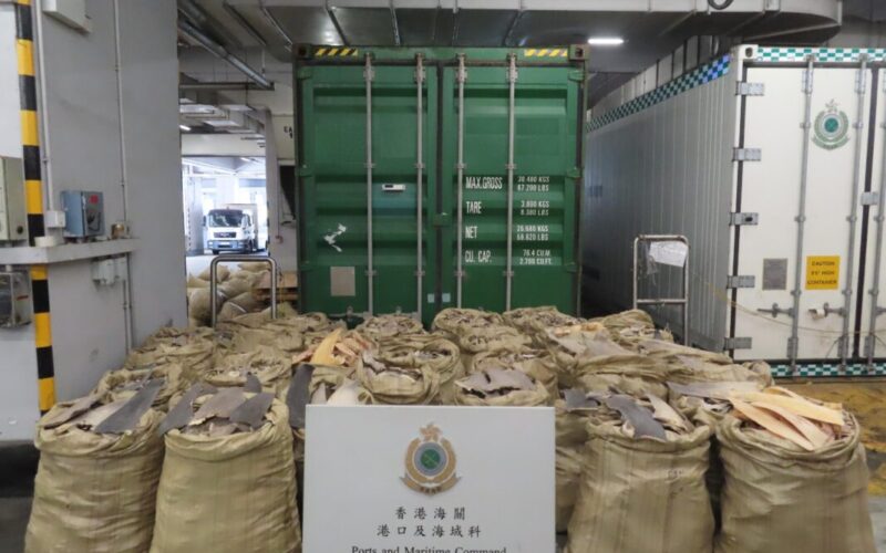 Hong Kong Customs seizes suspected dried shark fins