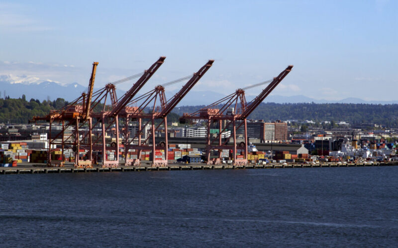 NWSA reports 11 per cent increase in TEUs