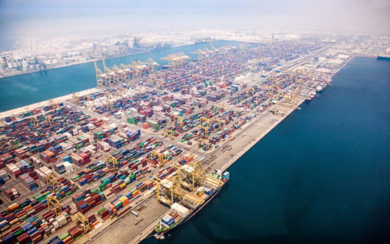 DP World's revenue hits $9.3 billion in H1 2024