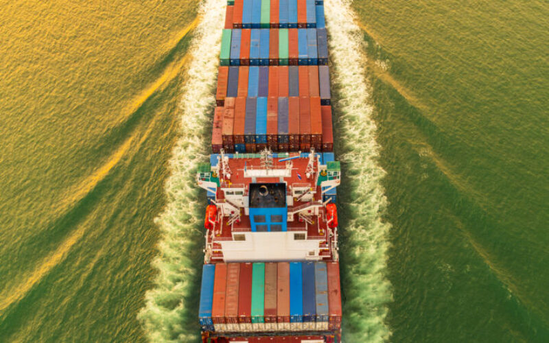 Decarbonisation regulations drops global bulker fleet