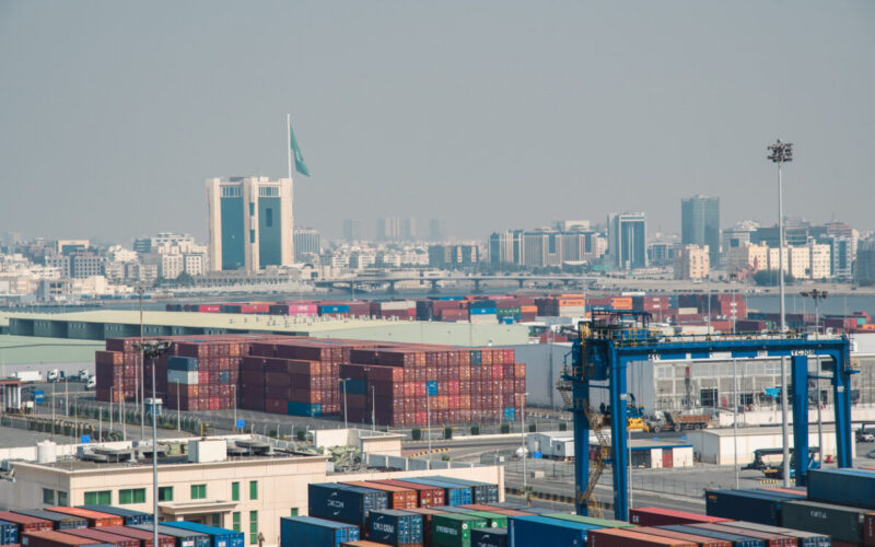 Mawani posts 12 per cent July container growth