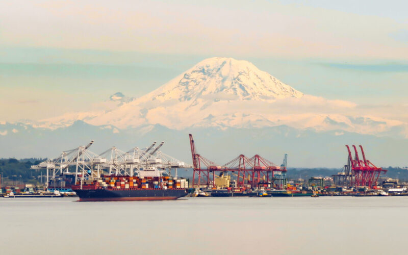 NWSA February TEUs rise by 13.7 per cent