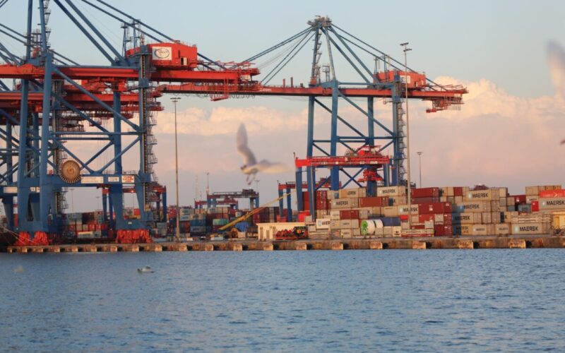 AD Ports carries out environmental assessment at Safaga Port