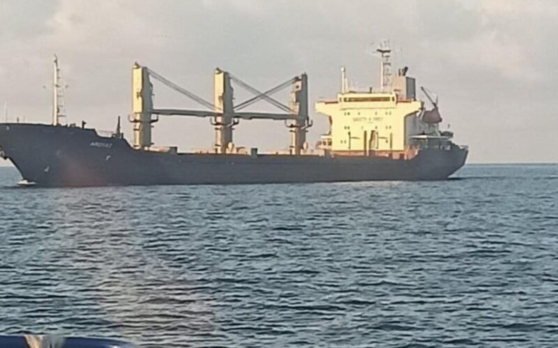 Two ships leave Ukraine's Black Sea port carrying grain